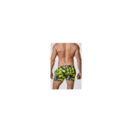Swim Shorts 10153 41172