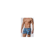 Swim Shorts 10153 42127