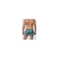 Swim Shorts 10153 40181