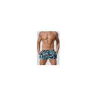 Swim Shorts 10152 40181