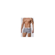 Swim Shorts 10152 31122